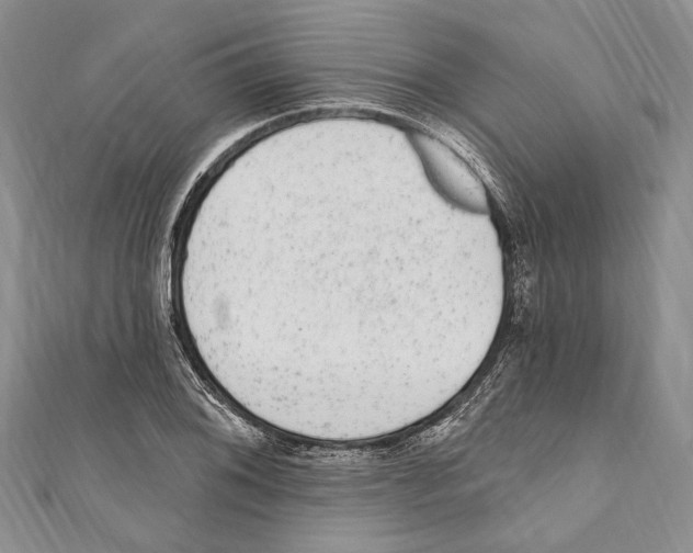 X0000110961076200907171645