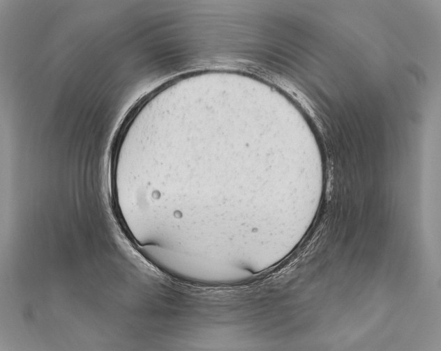 X0000110961080200907171644