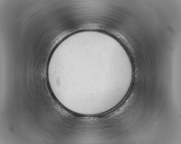 X0000110961081200907171644