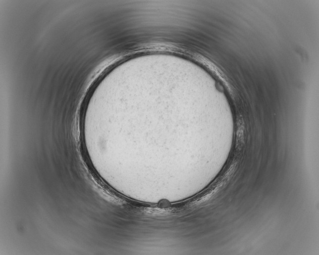 X0000110961082200907171644
