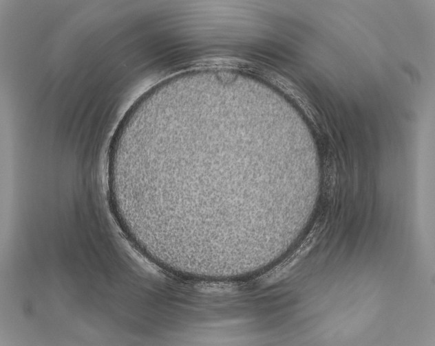 X0000110961083200907171644