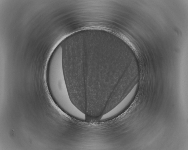 X0000110961084200907171644