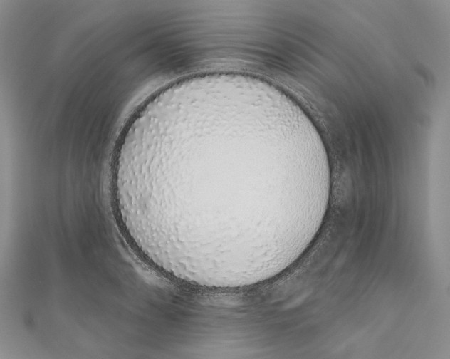 X0000110961086200907171644