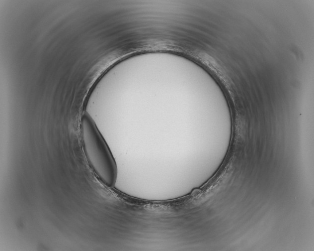 X0000110961089200907171644
