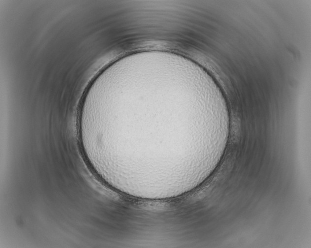 X0000110961090200907171644