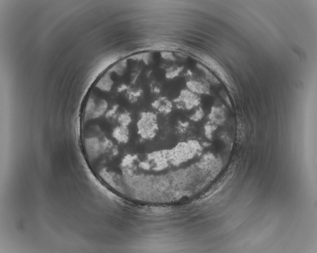 X0000110961095200907171644