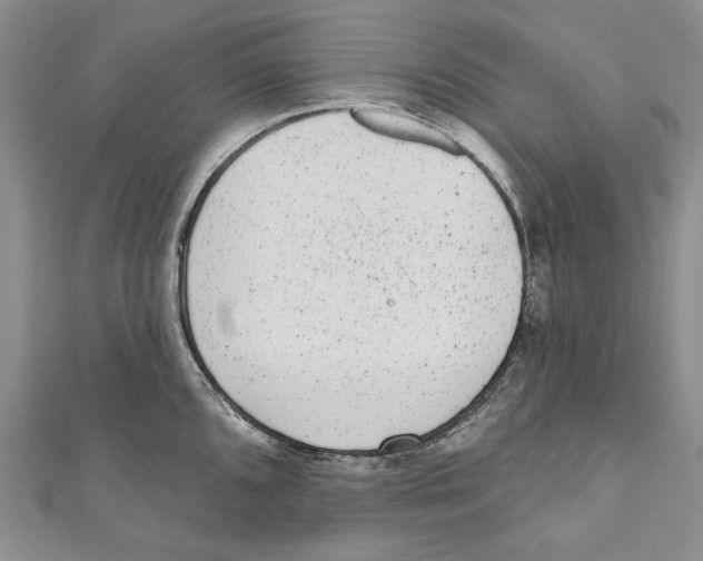 X0000110961096200907171644
