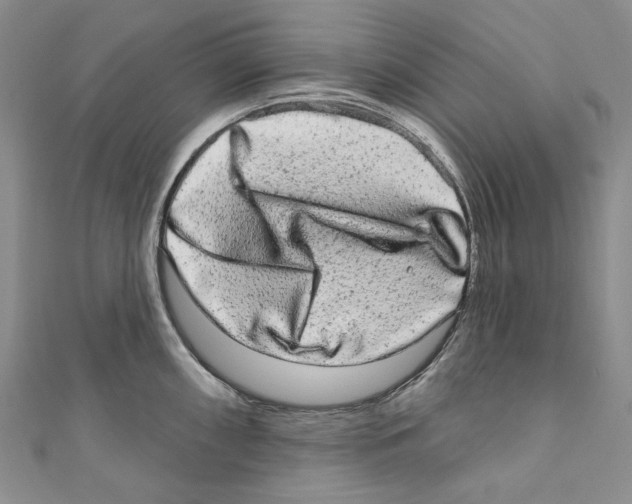 X0000110961098200907171644