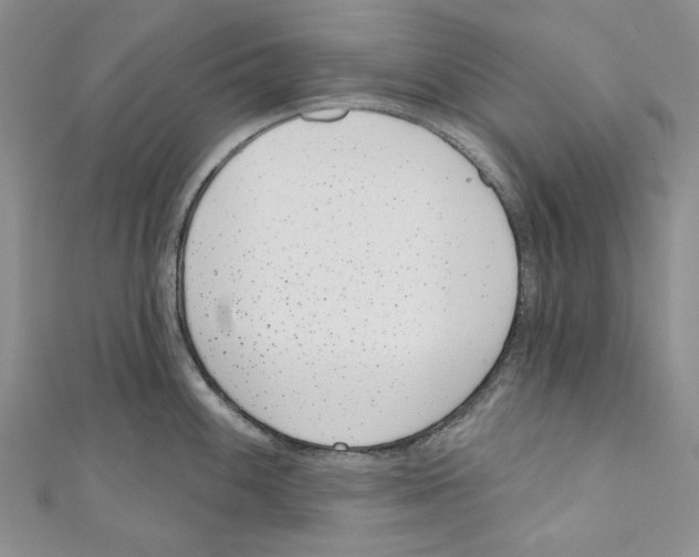 X0000110961100200907171644