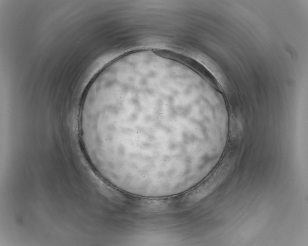 X0000110961101200907171644
