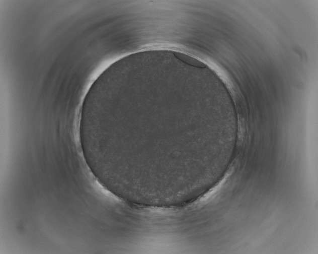 X0000110961102200907171644