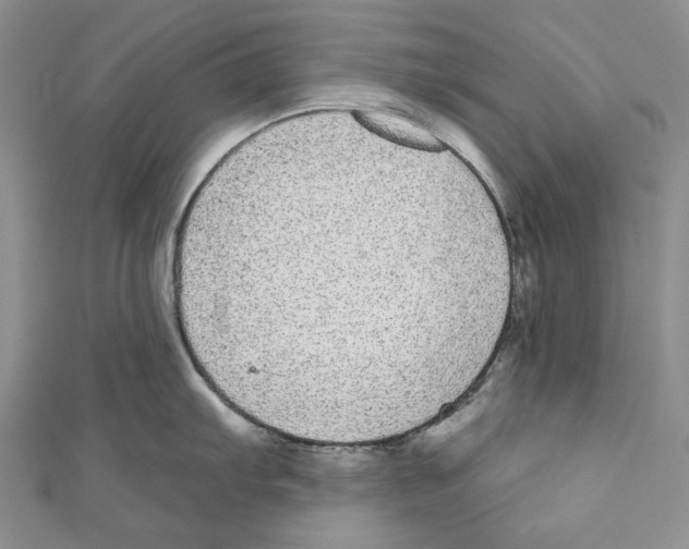X0000110961103200907171644