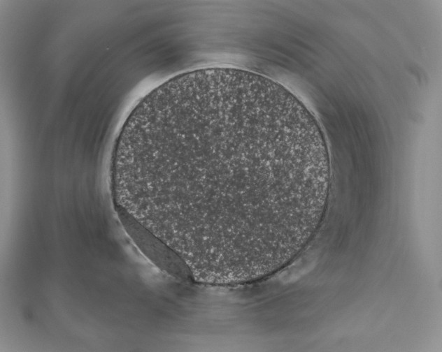 X0000110961104200907171644