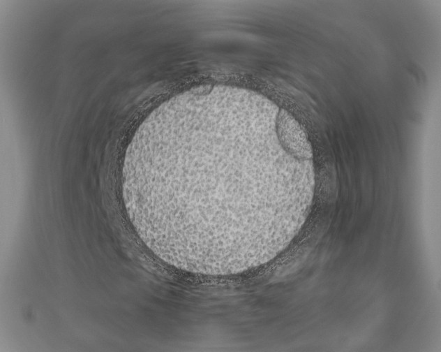 X0000110961105200907171644