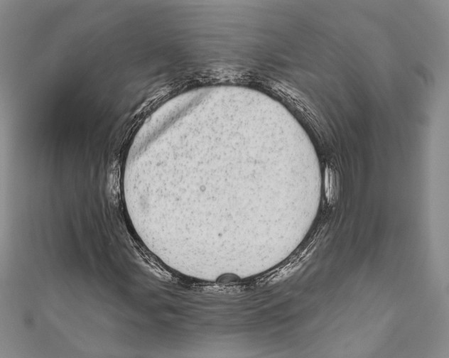 X0000110961107200907171644