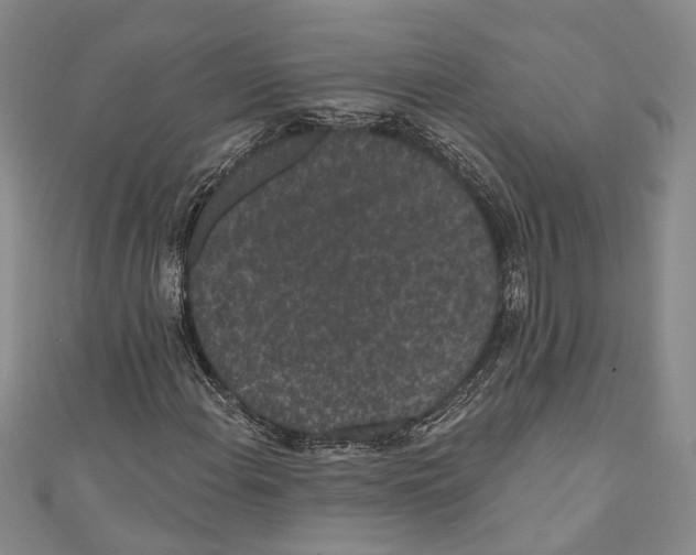 X0000110961108200907171644