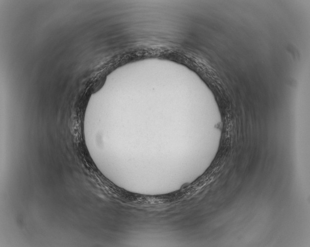 X0000110961109200907171644