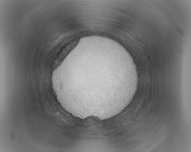X0000110961110200907171644