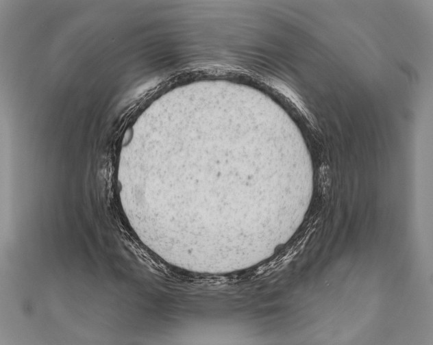 X0000110961111200907171644