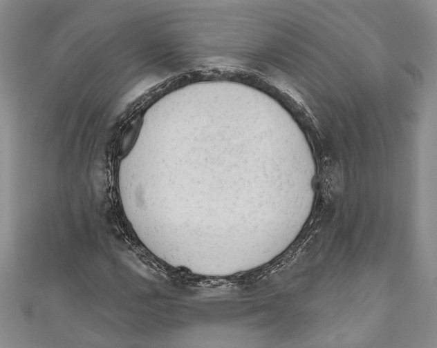 X0000110961112200907171644