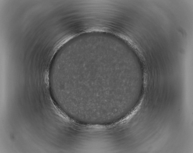 X0000110961113200907171644