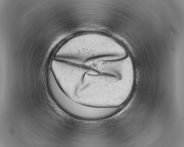 X0000110961114200907171644