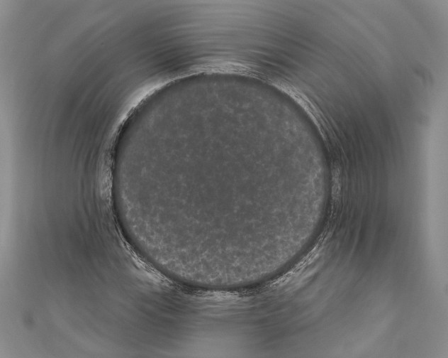 X0000110961115200907171644