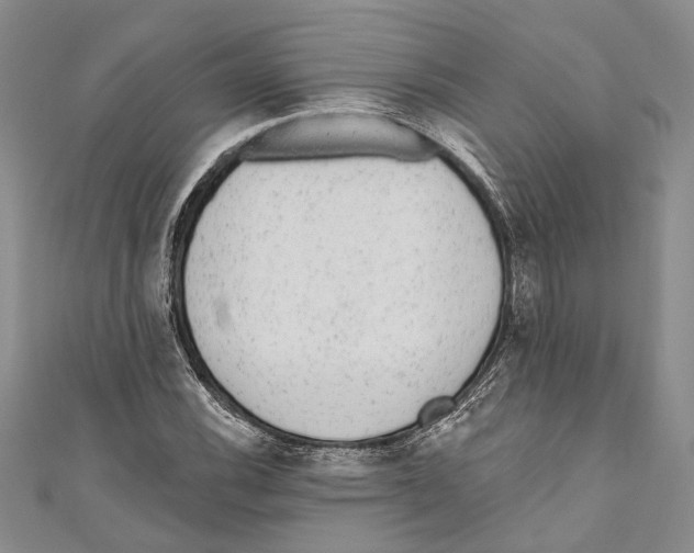 X0000110961116200907171644