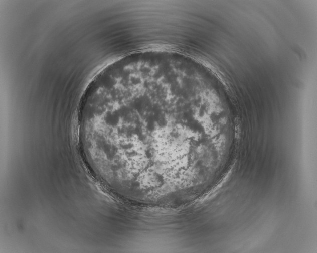 X0000110961117200907171644