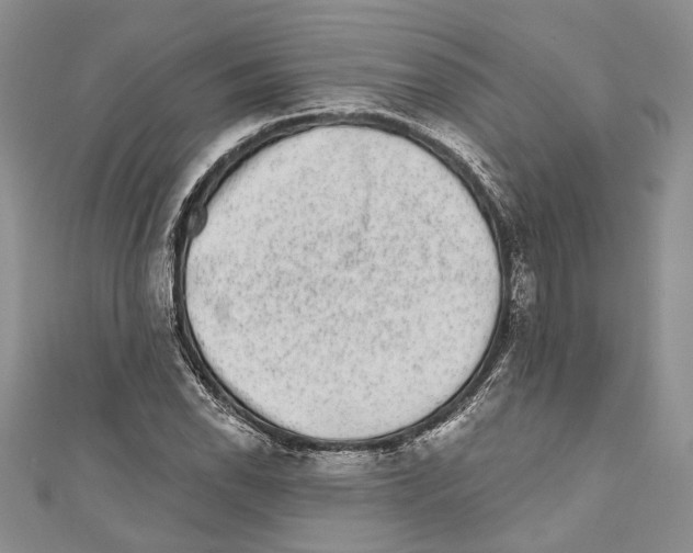 X0000110961118200907171644