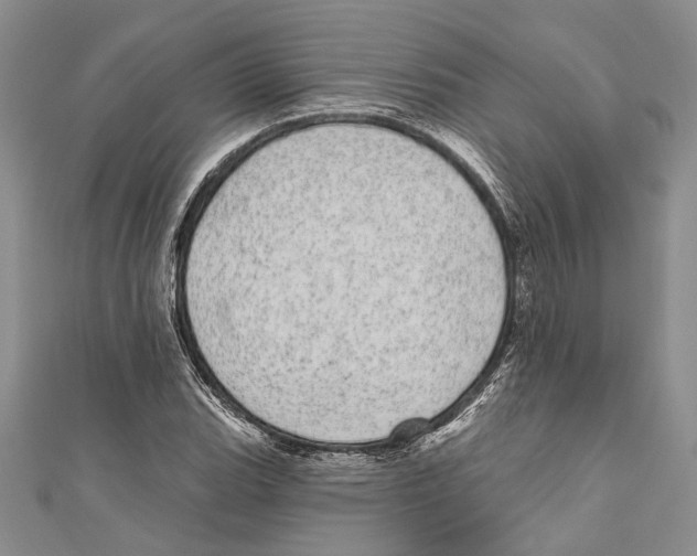 X0000110961119200907171644