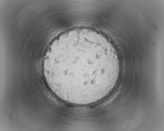 X0000110961121200907171644