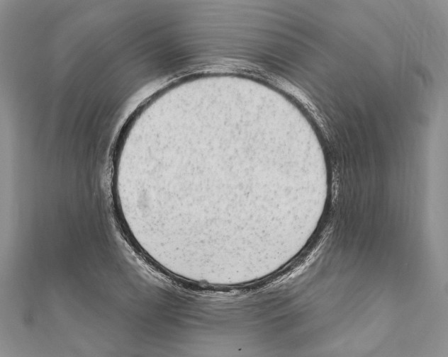 X0000110961122200907171644