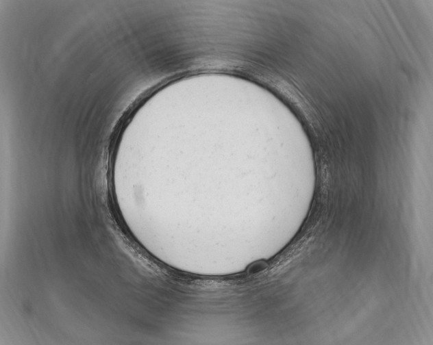 X0000110961124200907171644