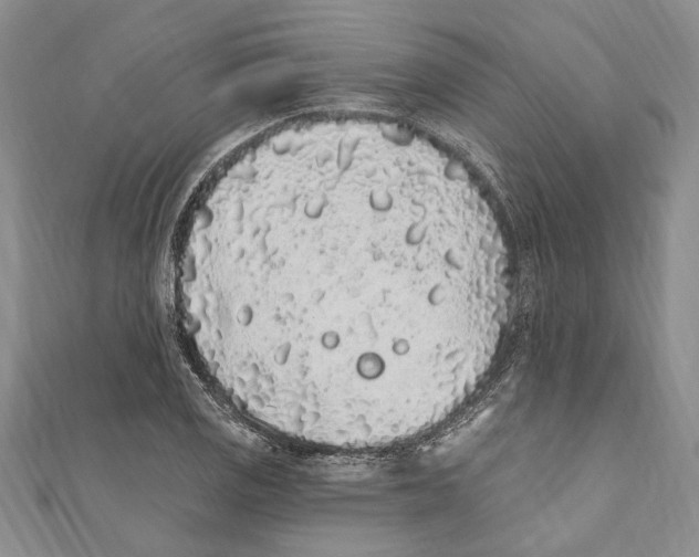 X0000110961125200907171644