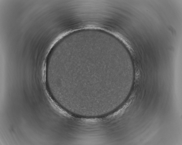 X0000110961126200907171644