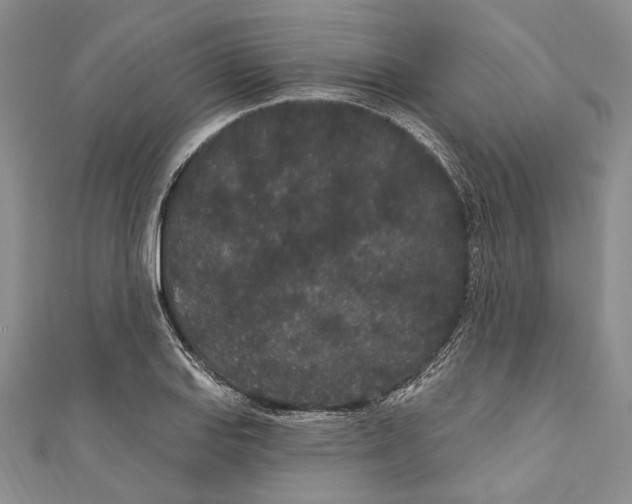X0000110961127200907171644