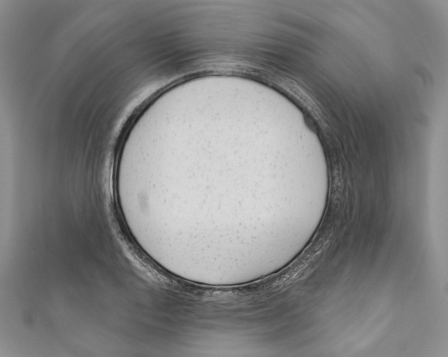 X0000110961128200907171644
