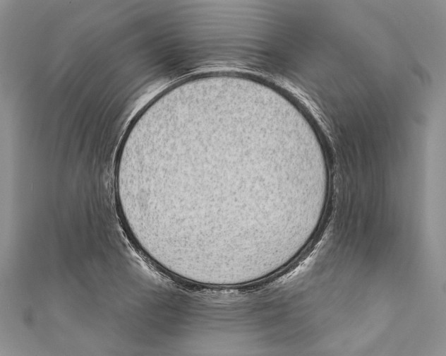 X0000110961129200907171644