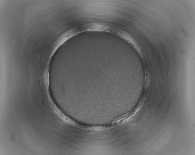 X0000110961130200907171644