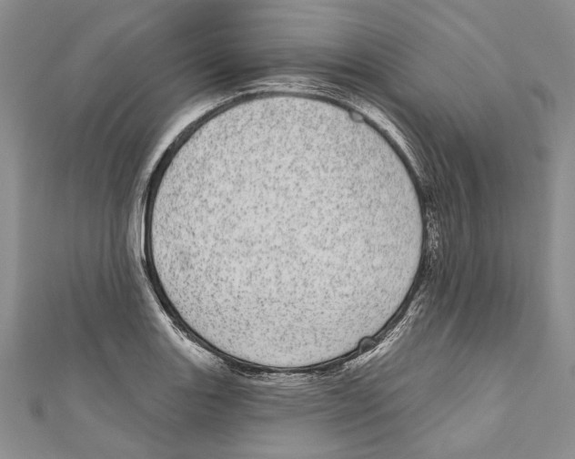 X0000110961131200907171644
