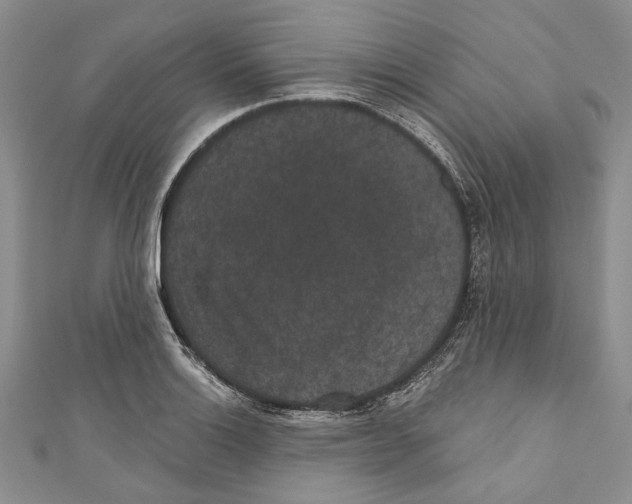 X0000110961132200907171644
