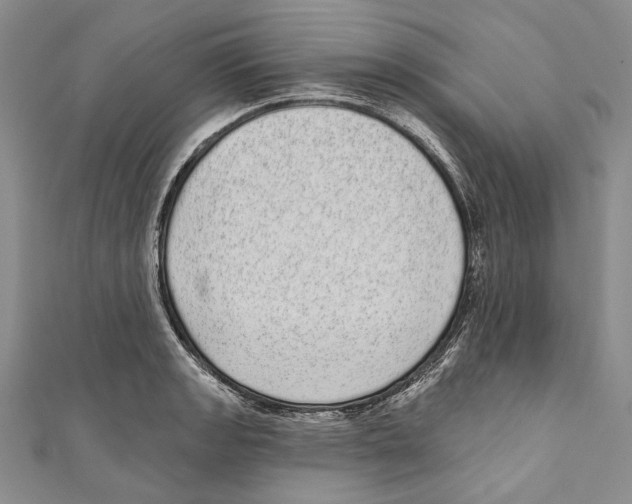 X0000110961133200907171644