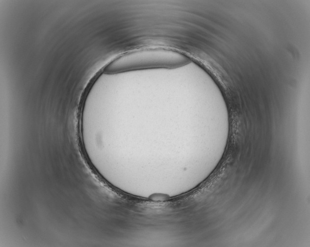 X0000110961134200907171644