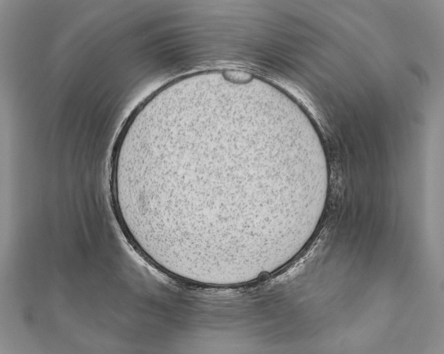 X0000110961135200907171644