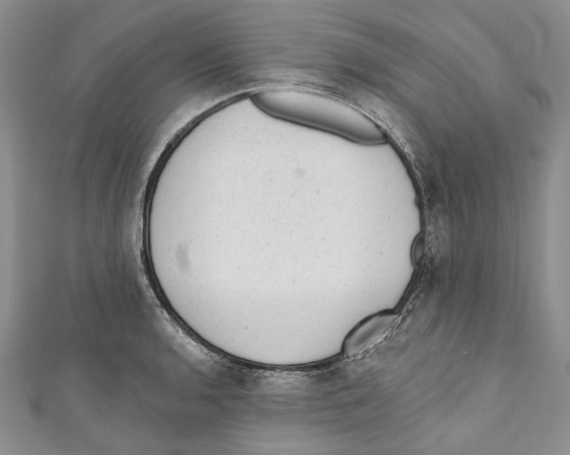 X0000110961136200907171644
