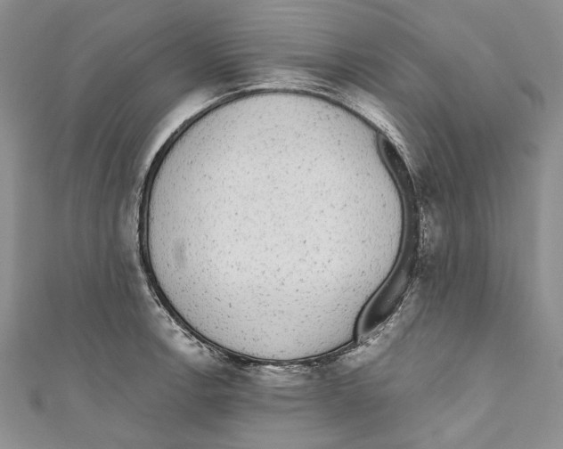 X0000110961138200907171644