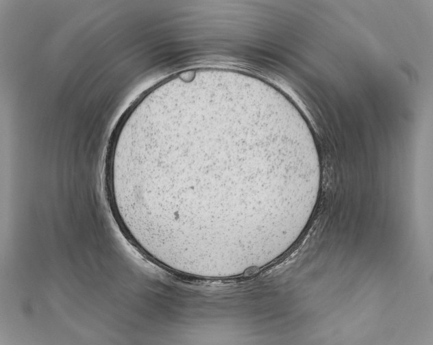 X0000110961139200907171644