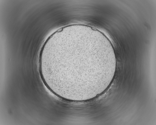 X0000110961143200907171644