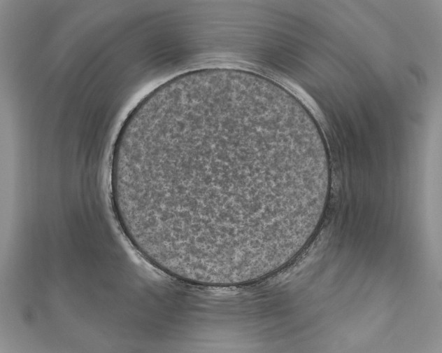 X0000110961144200907171644